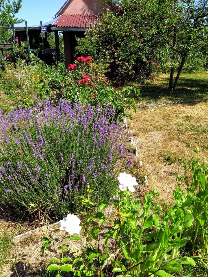 Działka rod Wrocław Brochów, ul. Wiaduktowa. Zdjęcie 7