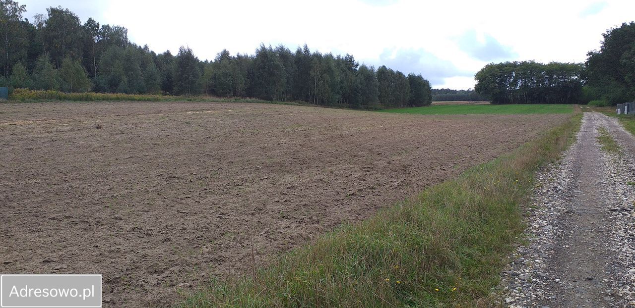 Działka budowlana Stare Skoszewy, ul. Źródlana. Zdjęcie 3