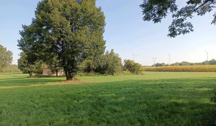 Działka budowlana Gołaszyny