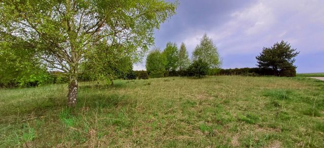 Działka budowlana Gowino, ul. Wesoła. Zdjęcie 1