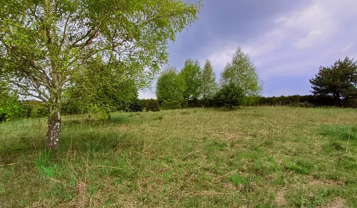 Działka budowlana Gowino, ul. Wesoła