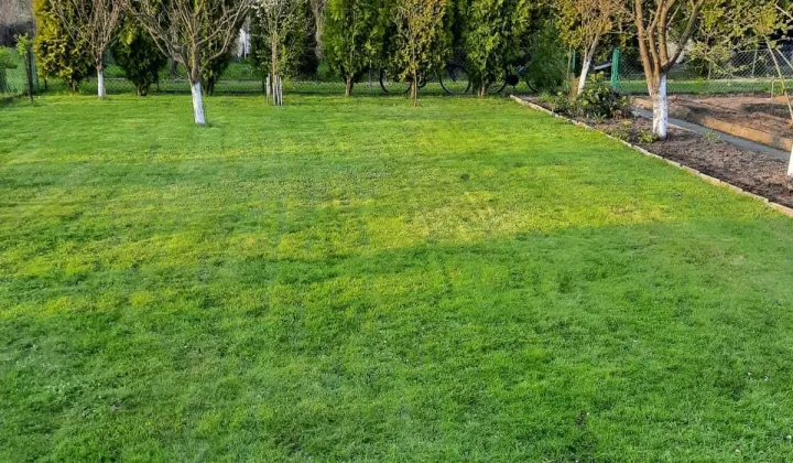 Działka rod Poręba, ul. Fryderyka Chopina