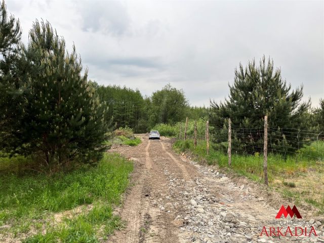 Działka budowlana Osiek. Zdjęcie 3