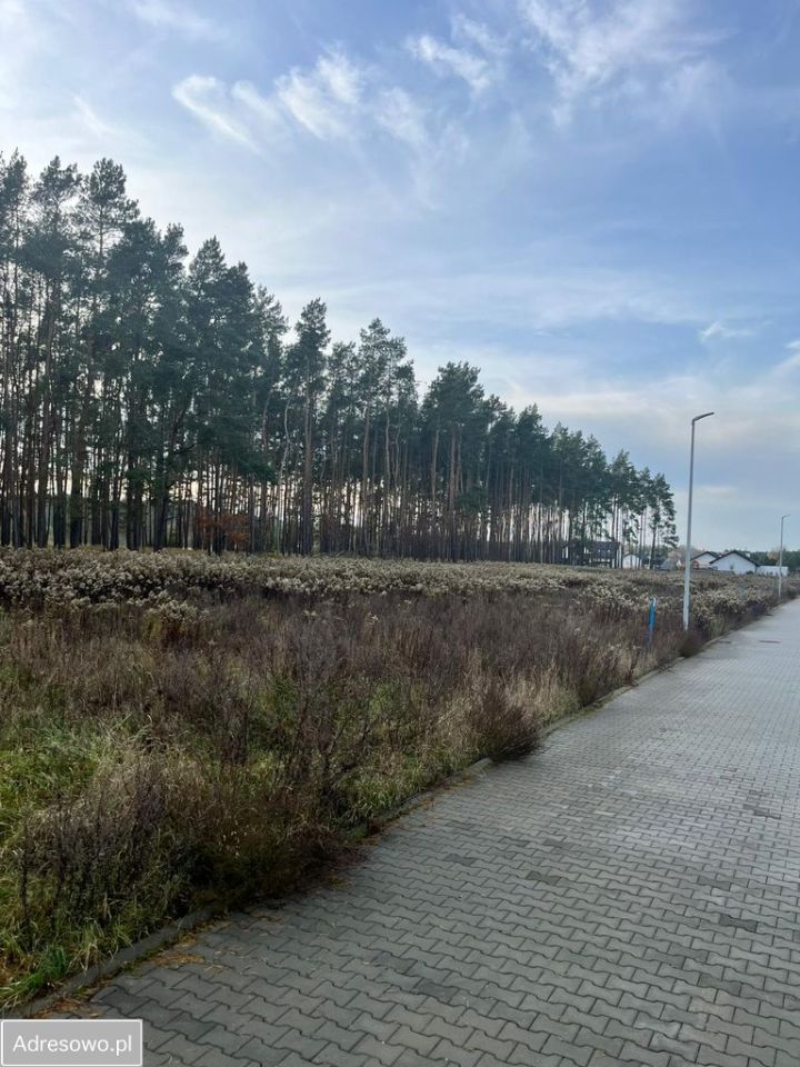 Działka budowlana Zarośle Cienkie. Zdjęcie 8