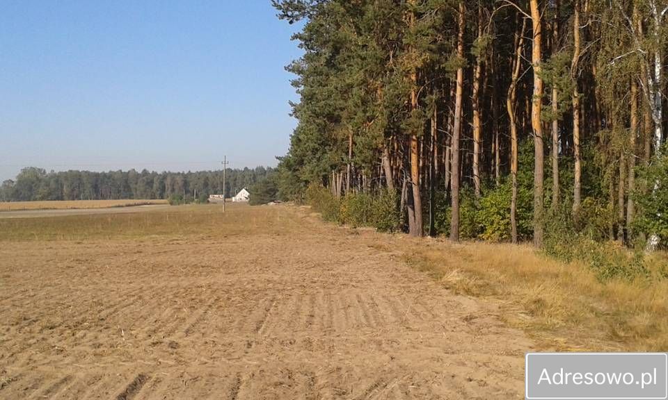 Działka leśna Bliżyce. Zdjęcie 2