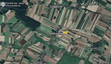 Działka rolna Dobruchna