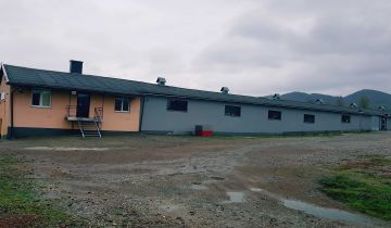 Hala/magazyn Raciechowice