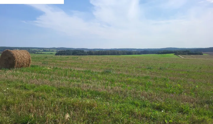 Działka budowlana Dzięcielec