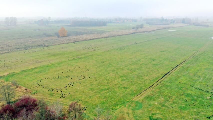 Działka rolna Siedliska. Zdjęcie 12