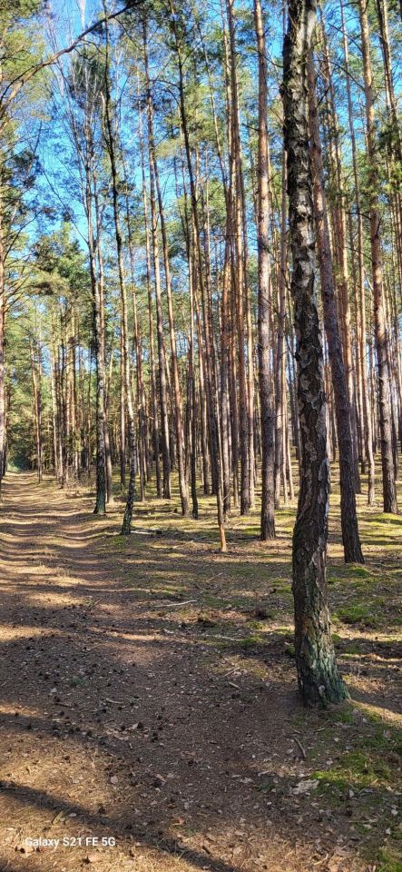 Działka Ulaski. Zdjęcie 3