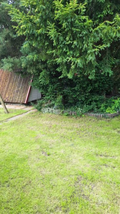 Działka rod Gdańsk Oliwa. Zdjęcie 7