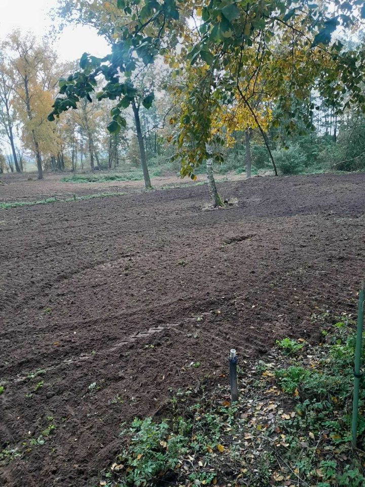 Działka budowlana Góra Bałdrzychowska-Kolonia. Zdjęcie 5