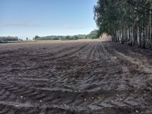 Działka rolna Nowy Kozłów Pierwszy. Zdjęcie 2