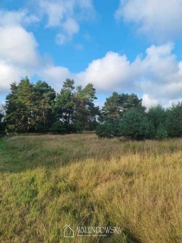 Działka Smołdzino. Zdjęcie 4