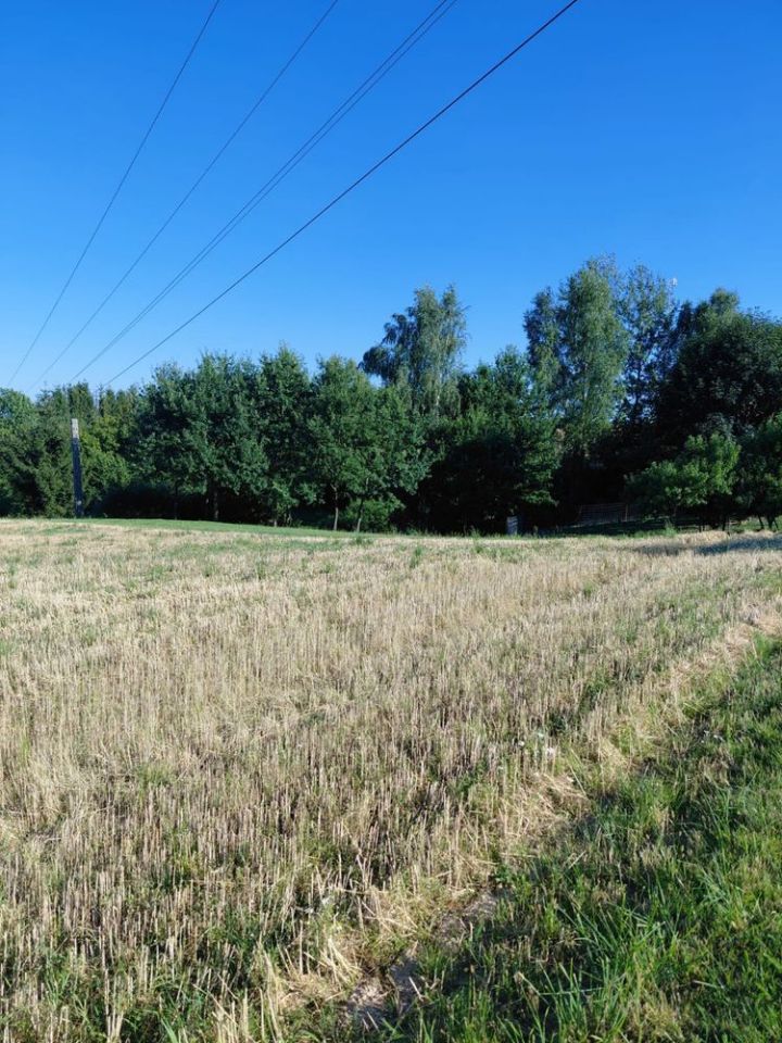 Działka rolno-budowlana Pępice. Zdjęcie 4