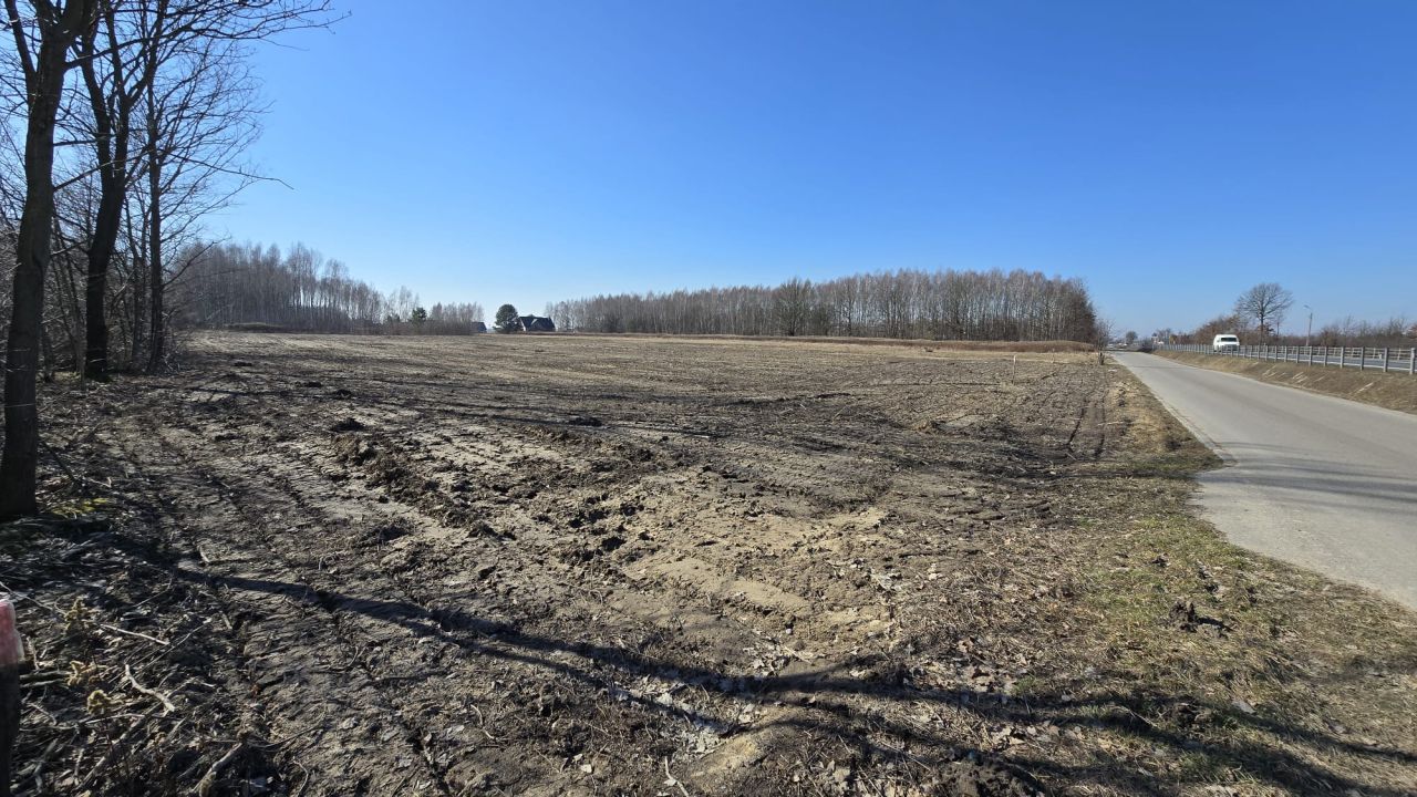 Działka inwestycyjna Chrośla, ul. Warszawska. Zdjęcie 10