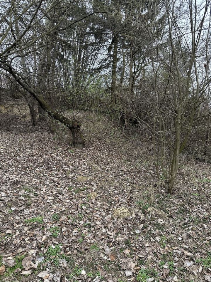 Działka budowlana Strochcice. Zdjęcie 7