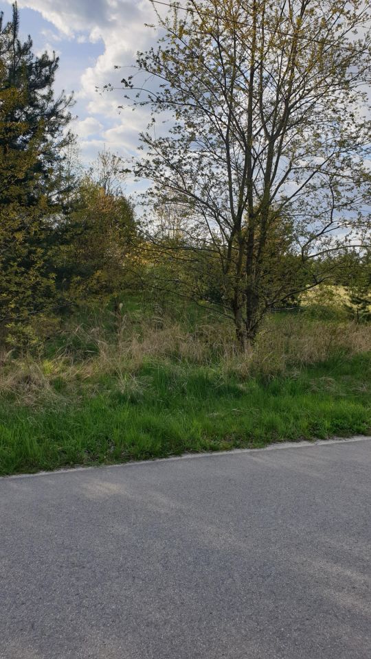 Działka rolna Tatar, Tatar. Zdjęcie 3