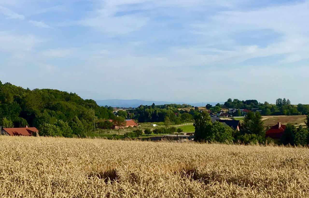 Działka budowlana Cianowice Pod Skałkami, ul. Słoneczna. Zdjęcie 5