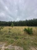Działka siedliskowa Kuźnica Głogowska Myszyniec, Tulipanowa. Zdjęcie 2