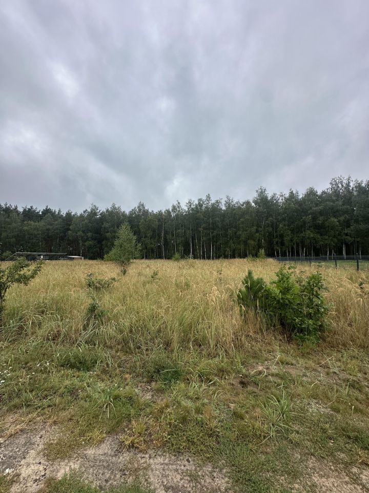 Działka siedliskowa Kuźnica Głogowska Myszyniec, Tulipanowa. Zdjęcie 3