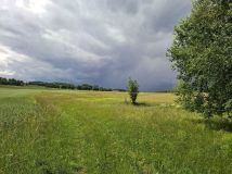 Działka siedliskowa Rybnica. Zdjęcie 2