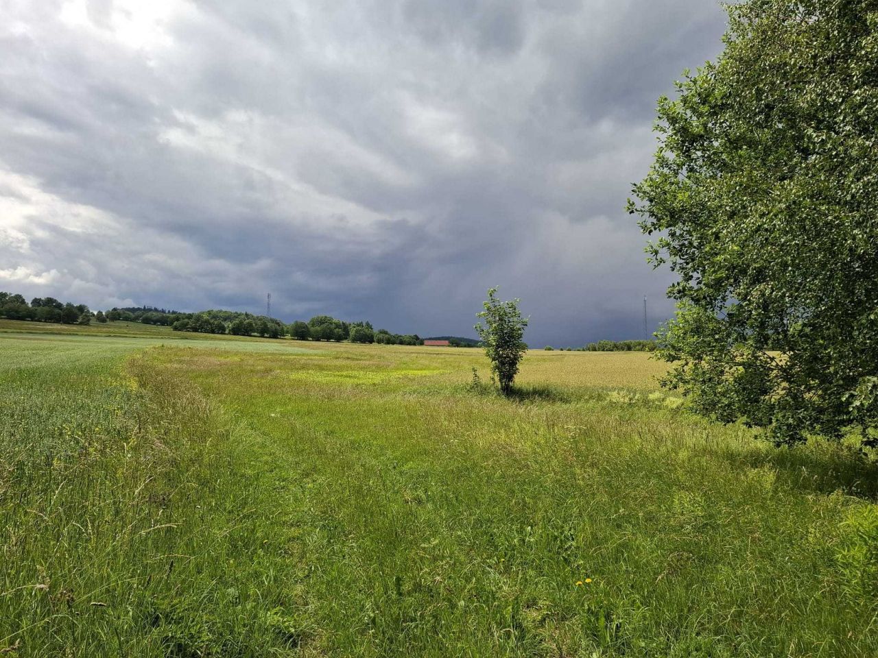 Działka siedliskowa Rybnica. Zdjęcie 3