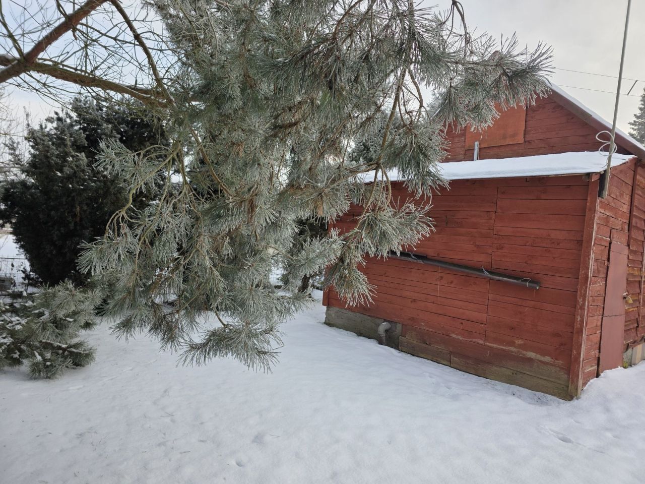 Działka rod Brodnica, ul. Paderewskiego. Zdjęcie 6