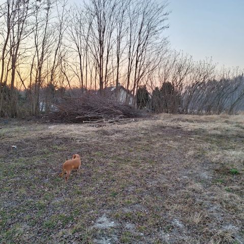 Działka budowlana Kraśnik Bojanówka, ul. Ostrowiecka. Zdjęcie 2