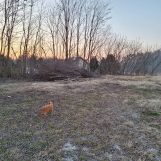 Działka budowlana Kraśnik Bojanówka, ul. Ostrowiecka. Zdjęcie 1