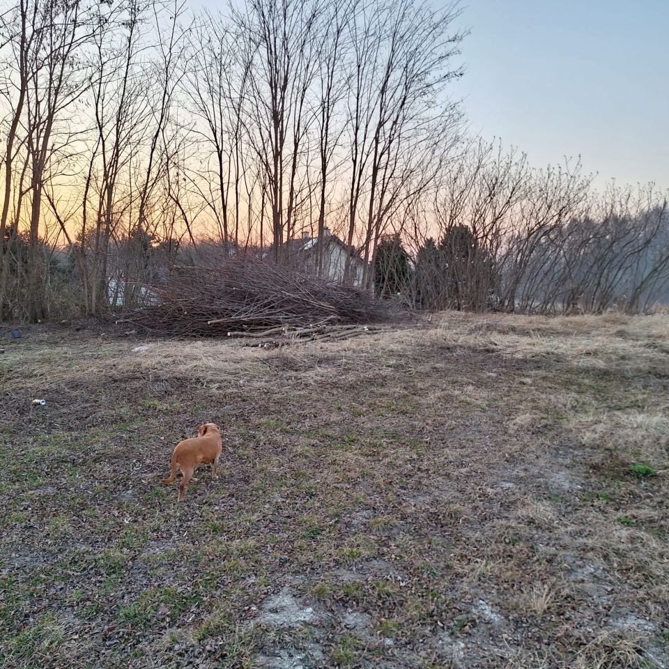 Działka budowlana Spławy Pierwsze, ul. Ostrowiecka. Zdjęcie 3