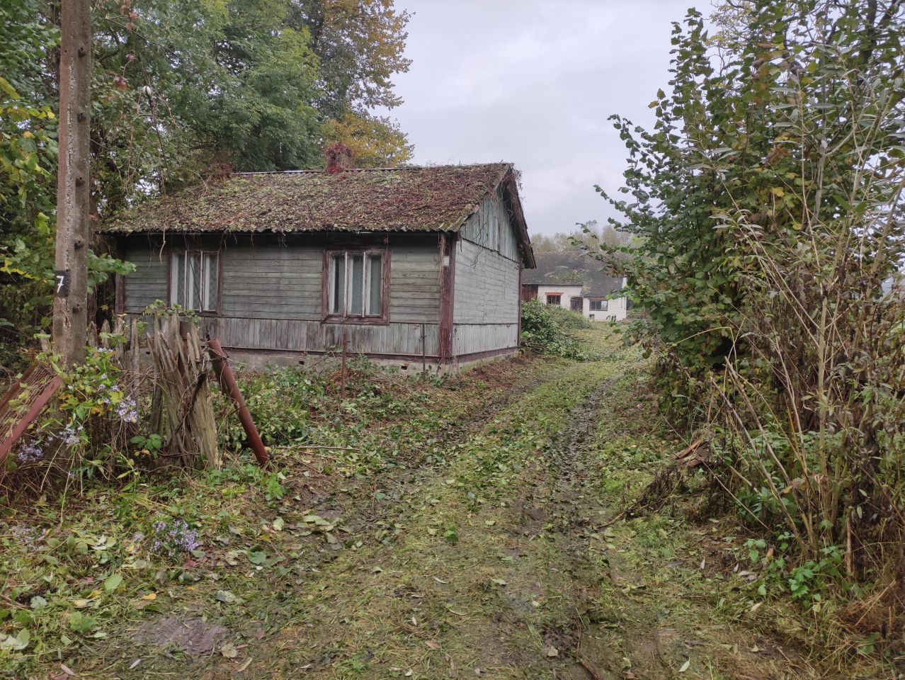 Działka rolno-budowlana Chlewiska. Zdjęcie 2