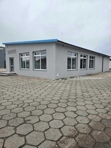 Lokal Turek, ul. Wincentego Milewskiego. Zdjęcie 1