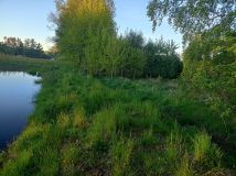 Działka budowlana Jeleńska Huta. Zdjęcie 2