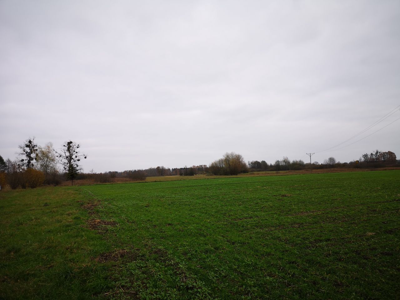 Działka budowlana Dębowiec. Zdjęcie 4