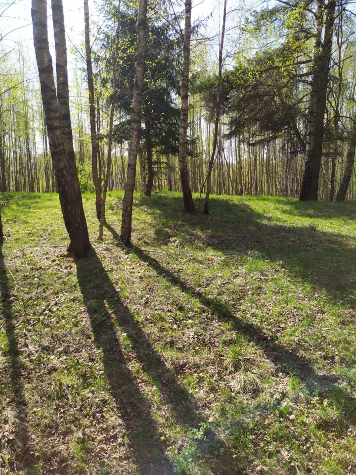 Działka rolna Użmauda. Zdjęcie 19