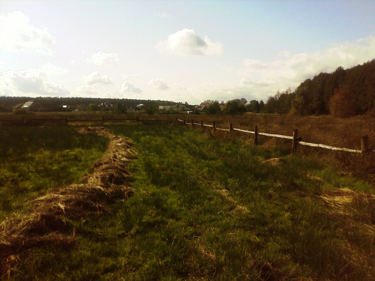 Działka rolna Białogóra. Zdjęcie 4