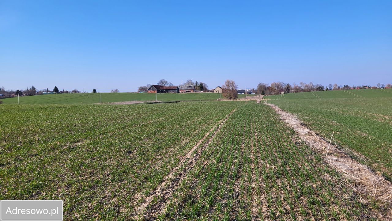 dom wolnostojący Pasłęk, ul. Kolonia Zdroje. Zdjęcie 15