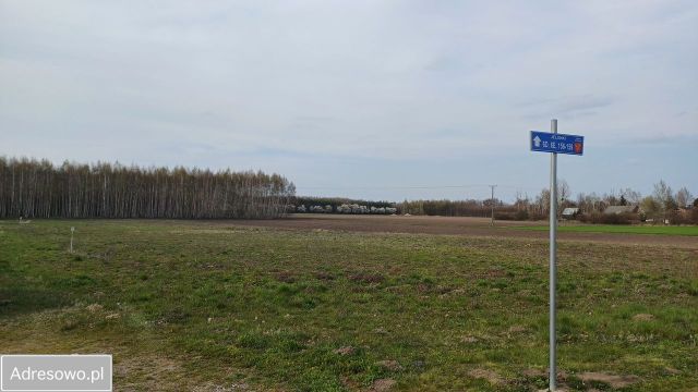 Działka rolna Jelonki. Zdjęcie 1