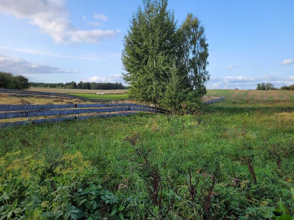 Działka rolno-budowlana Rajgród, ul. Ostejki. Zdjęcie 1