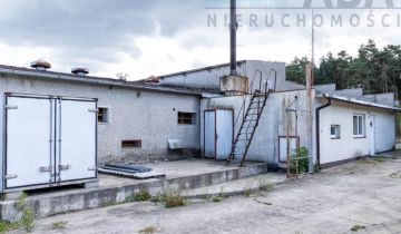 Hala/magazyn Brzeźno Sienno, ul. Sienna