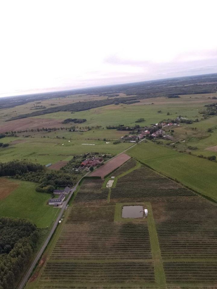 Działka rolna Białe. Zdjęcie 2