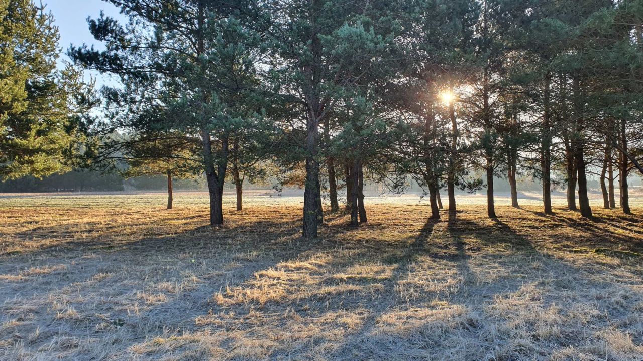 Działka budowlana Skarbka Bidzińszczyzna. Zdjęcie 6