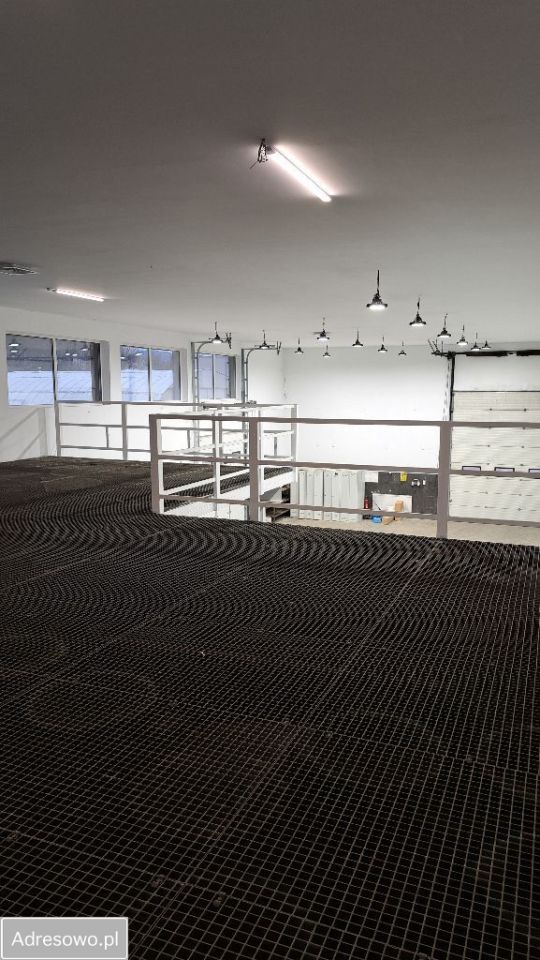Hala/magazyn Żywiec, ul. Świętokrzyska. Zdjęcie 12