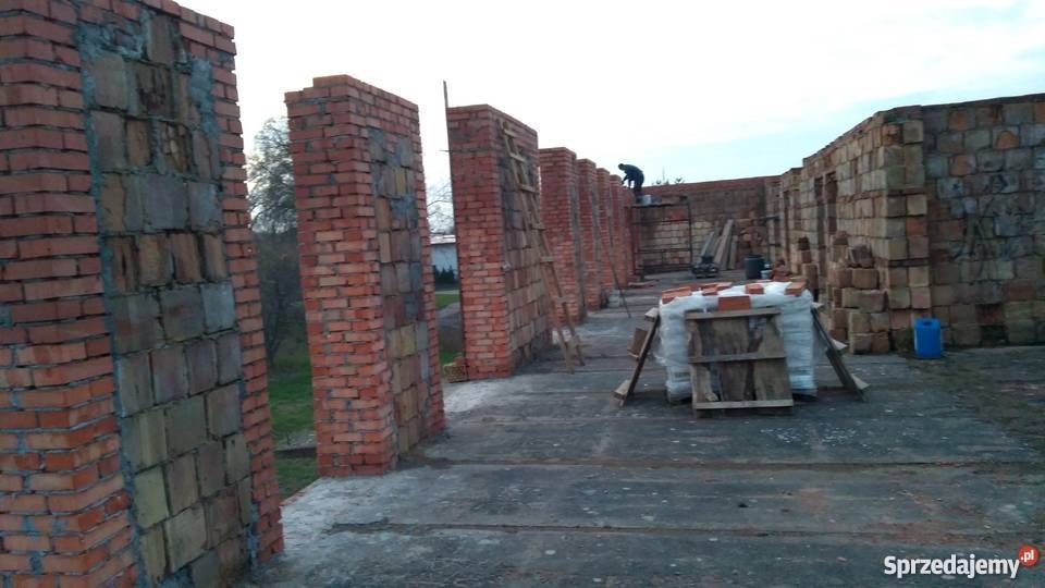 Nieruchomość komercyjna Sarbia. Zdjęcie 4