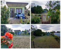 Działka rod Rogoźnik. Zdjęcie 2