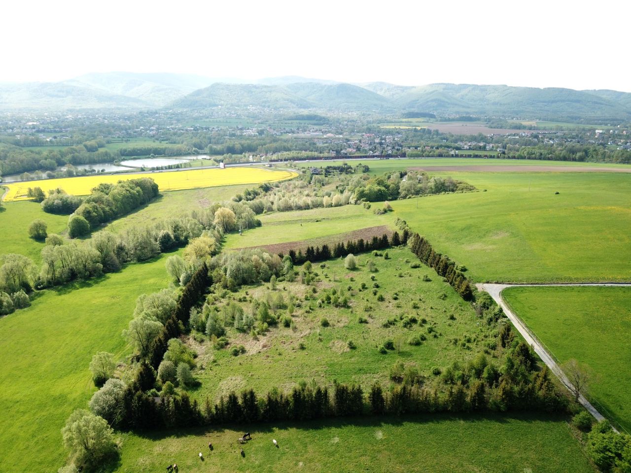 Działka budowlana Międzyrzecze Górne. Zdjęcie 7