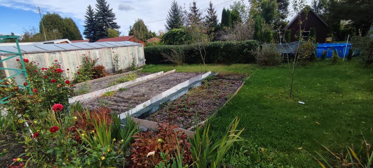 Działka rod Piotrków Trybunalski, ul. Brzeźnicka. Zdjęcie 4