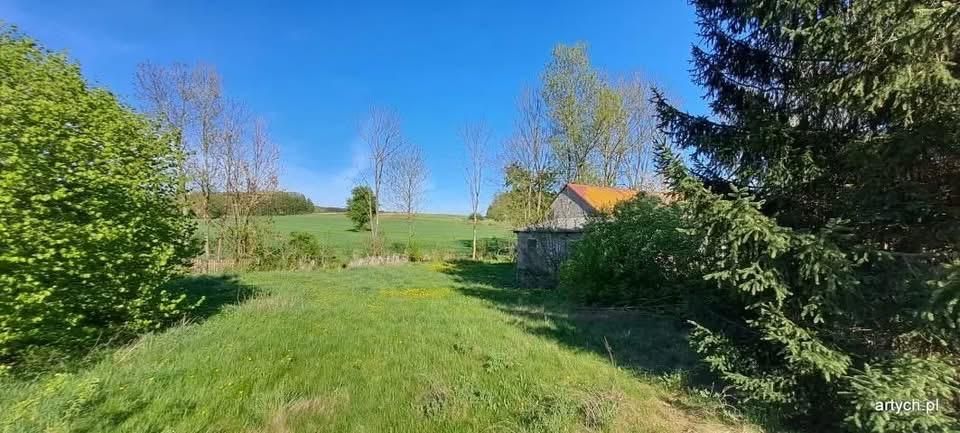 Działka siedliskowa Nieciecz Włościańska. Zdjęcie 4