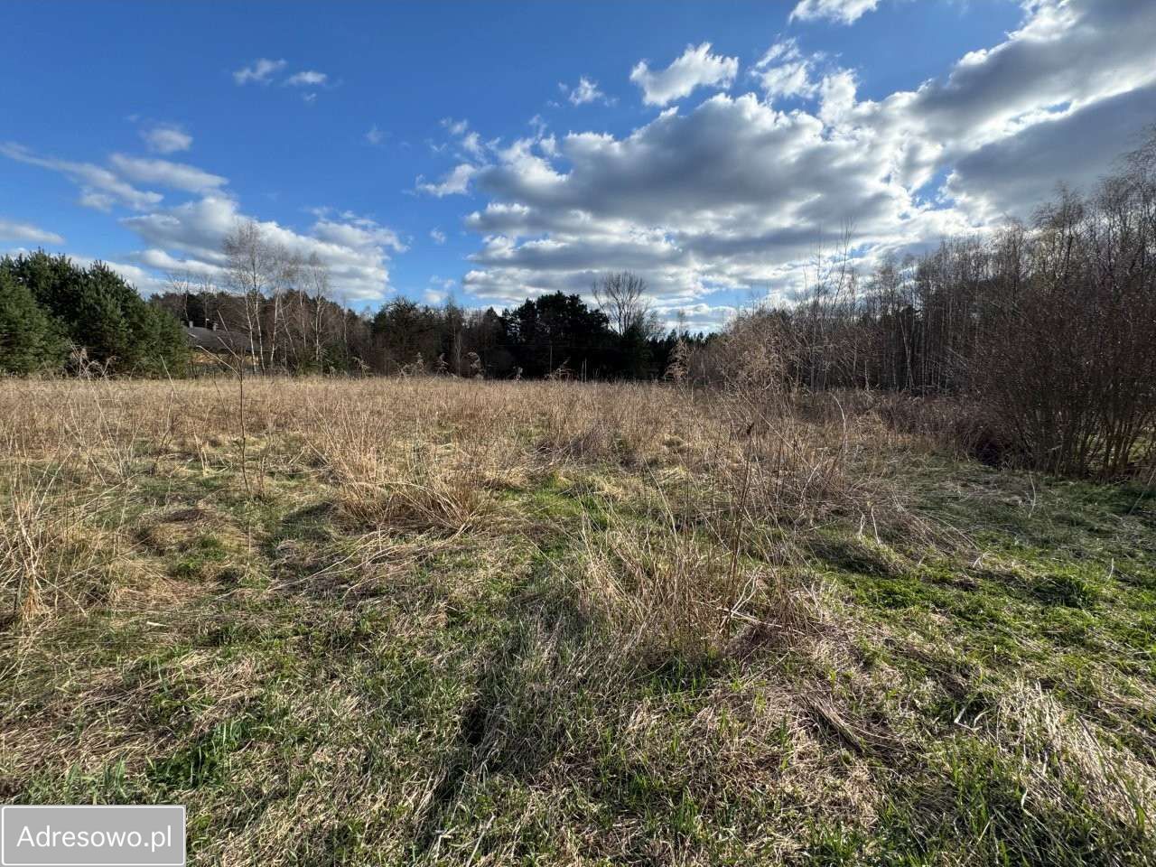 Działka budowlana Młoszów. Zdjęcie 7